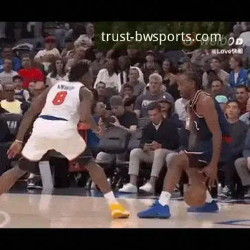 NBA赛季动态解析：快船负开拓者后的伦纳德采访使用教程